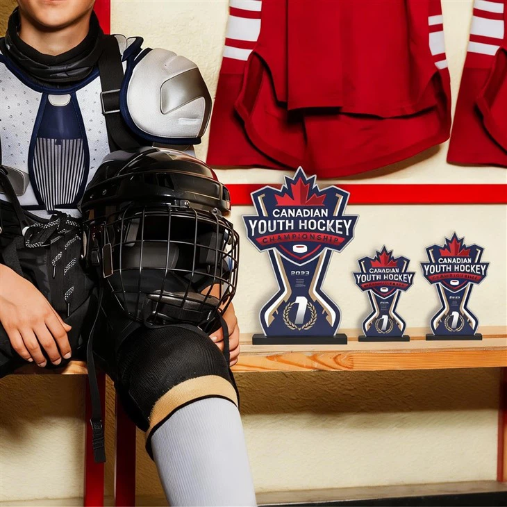 Single Layer Acrylic Hockey Trophies price